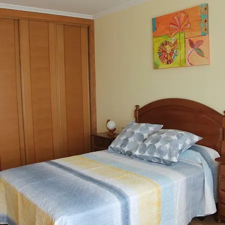 H&v Codesal סנשנשו