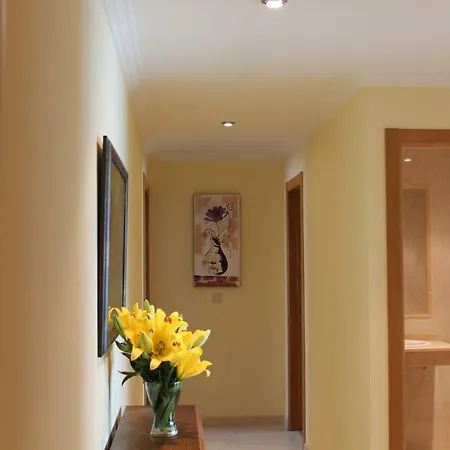 דירה H&v Codesal סנשנשו